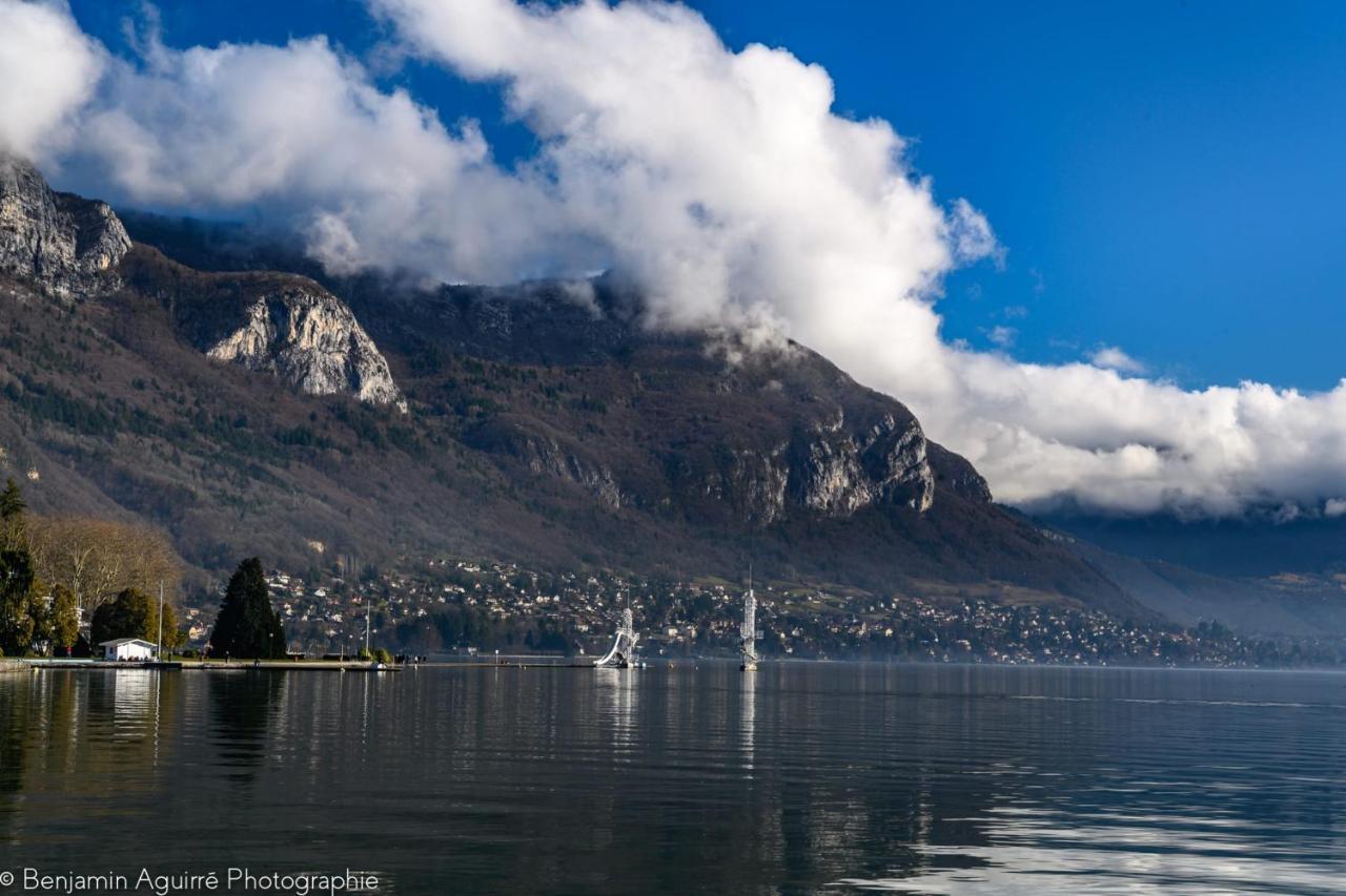 Les Mouettes Du Lac N2 - Grand Studio 500 M From Lake Annecy Eksteriør bilde